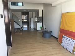 龙光玖钻 地铁接驳 精装复式 户型实用
