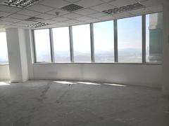 地王大厦 地铁大剧院站,一手业主高使用率,视野景观好,可议价